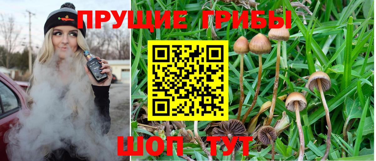 Галлюциногенные грибы Magic Shrooms  Вход с VPN  Электрогорск 