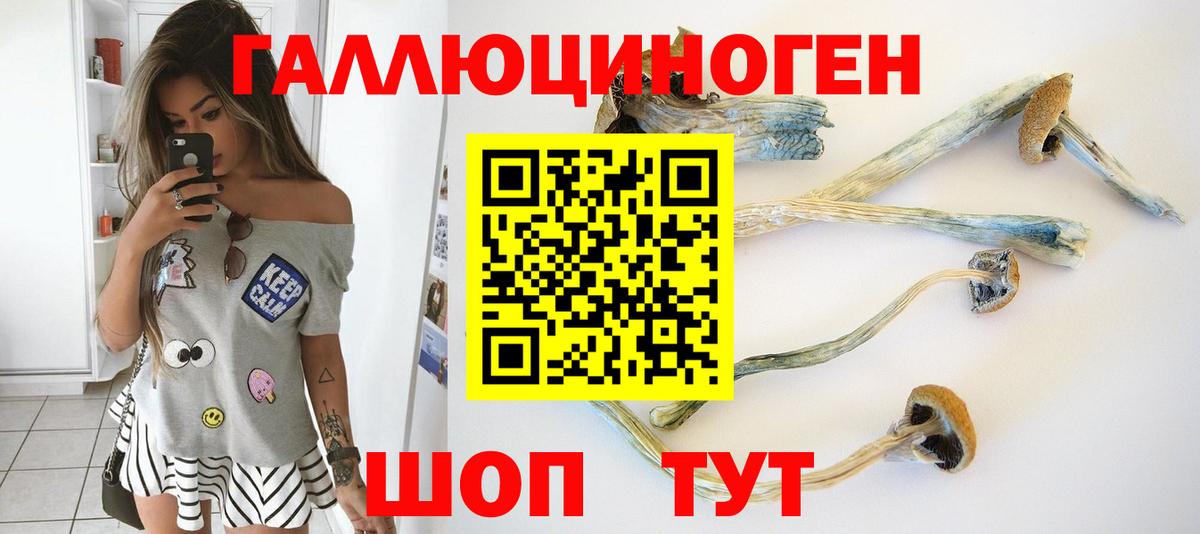 Галлюциногенные грибы мицелий Электрогорск